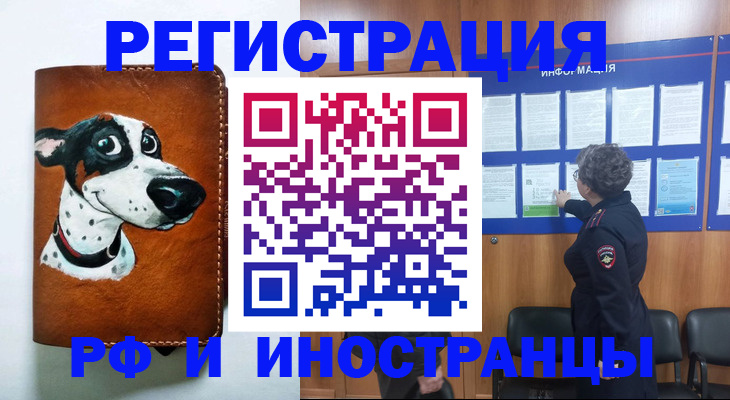 временная регистрация законно в Мончегорске